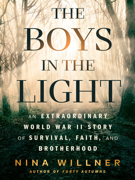 Title details for The Boys in the Light by Nina Willner - Wait list